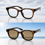 MLGLS-01　MICHAEL LINNELL Photochromic Sunglasses