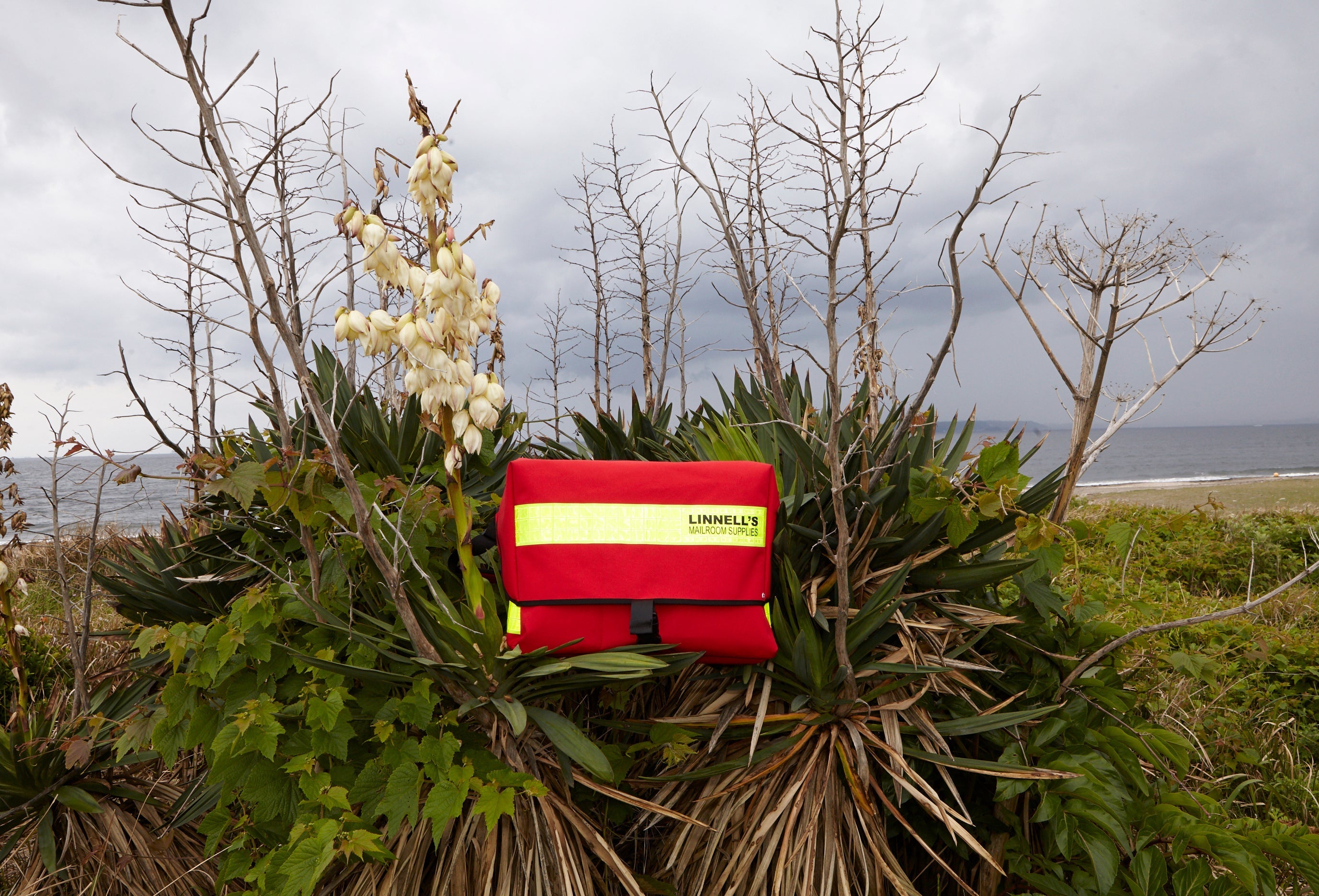 MICHAEL LINNELL | Michael Linnell Official Online Store – MICHAEL